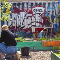 Malmö presenterar hållbar stadsutveckling för världen