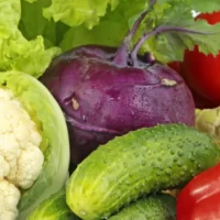 Mat fortsatt viktig del i arbetet för hållbar utveckling