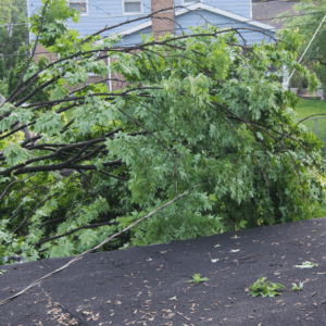 Uppdaterat – Kraftiga vindar har lett till strömavbrott även i Skåne