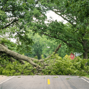 SMHI uppgraderar sin vädervarning till orange och MSB varnar för samhällspåverkan