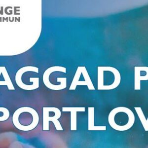 Vellinge kommun har samlat allt kul under sportlovet för dig under 18 år på en webbsida