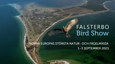 Falsterbo Bird Show ett välbesökt evenemang med mycket mer än fåglar