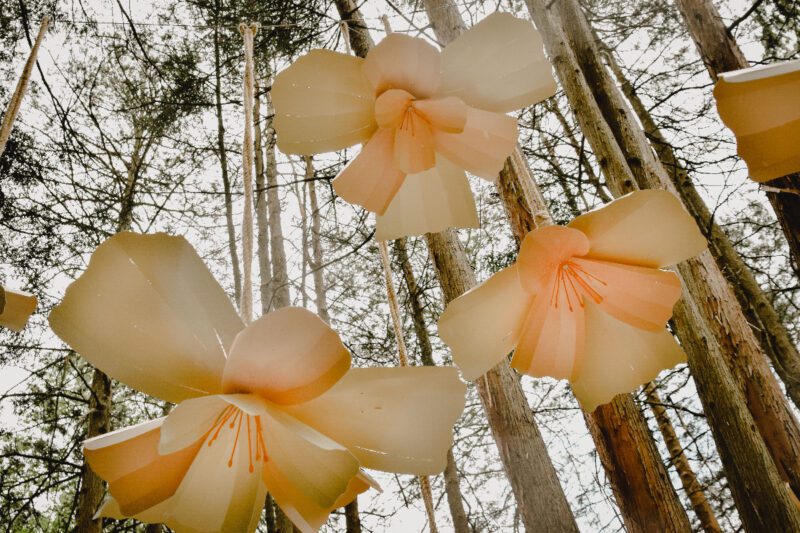 anna_starren_2023_Foto Anna Nyman_24 låg