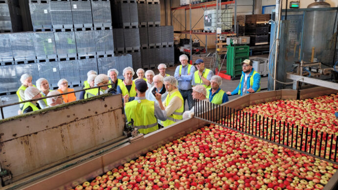 äpple Industri Företag