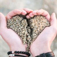 Visste du att…brustet hjärta verkligen existerar?