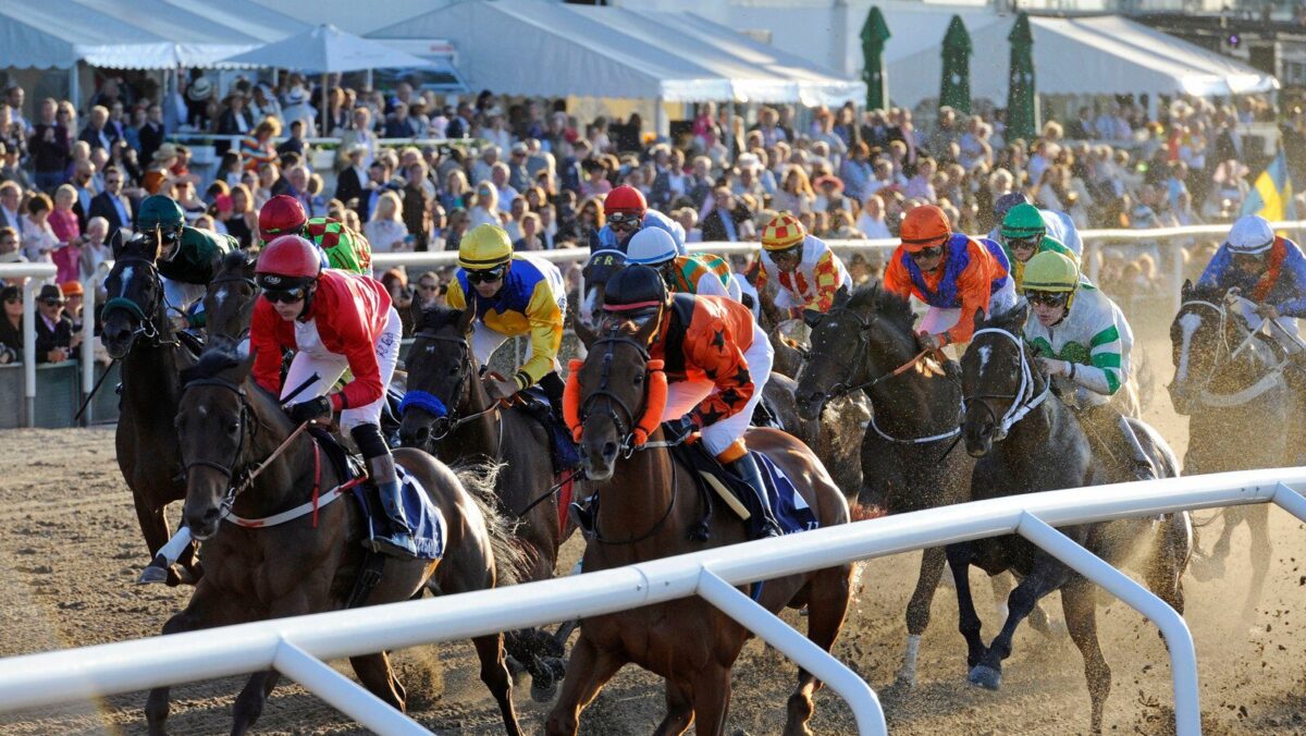 " | Jägersro 150718 | Foto: Stefan Olsson / Svensk Galopp "