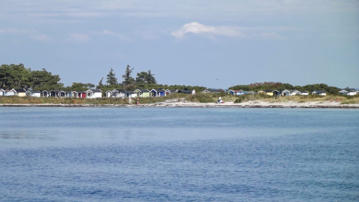 Skanörs Norra Strand Sommar