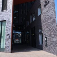 AI ska hjälpa till att få tag på fuskarna och förebygga fusk