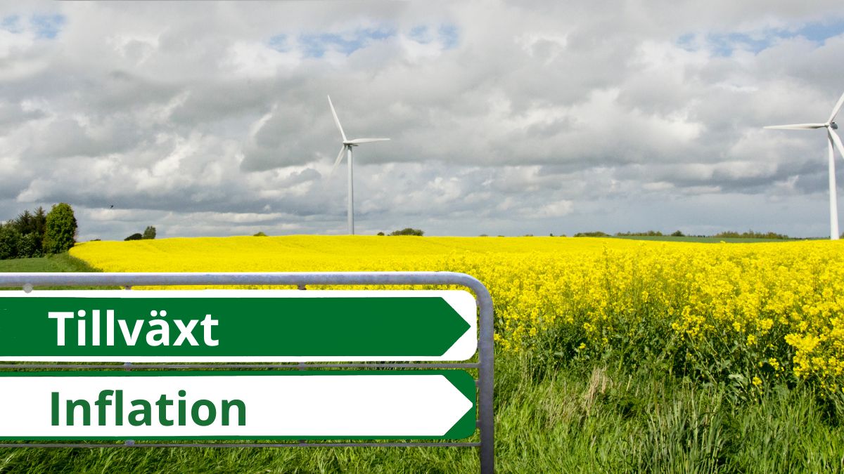 Ekonomi Tillväxt Inflation