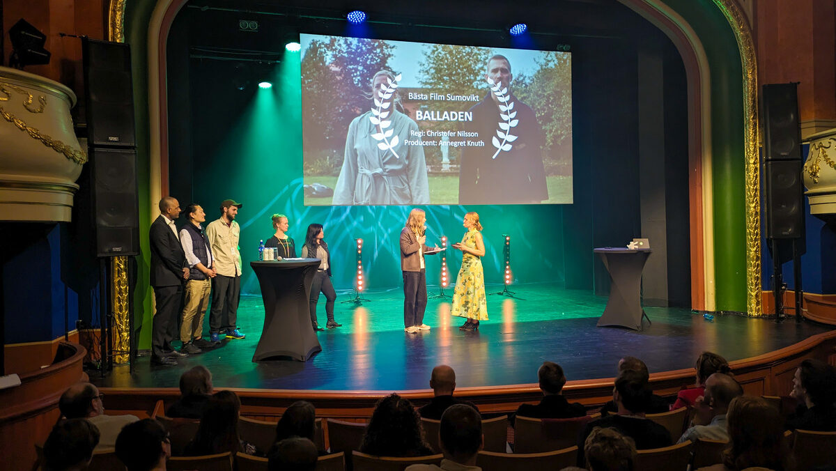 Pixelskaneskortfilmsfestival2024 pressfoto 6