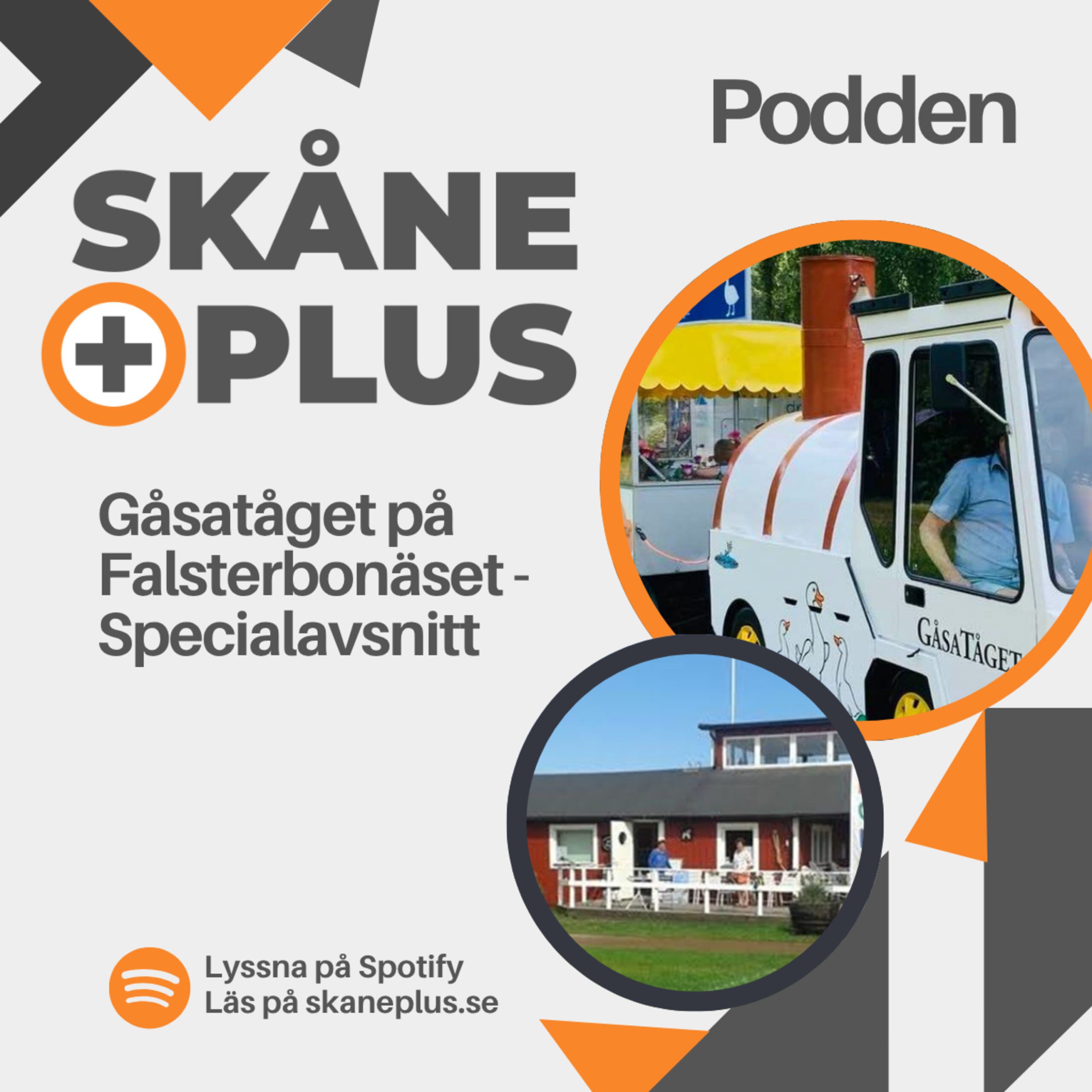 Gåsatåget special