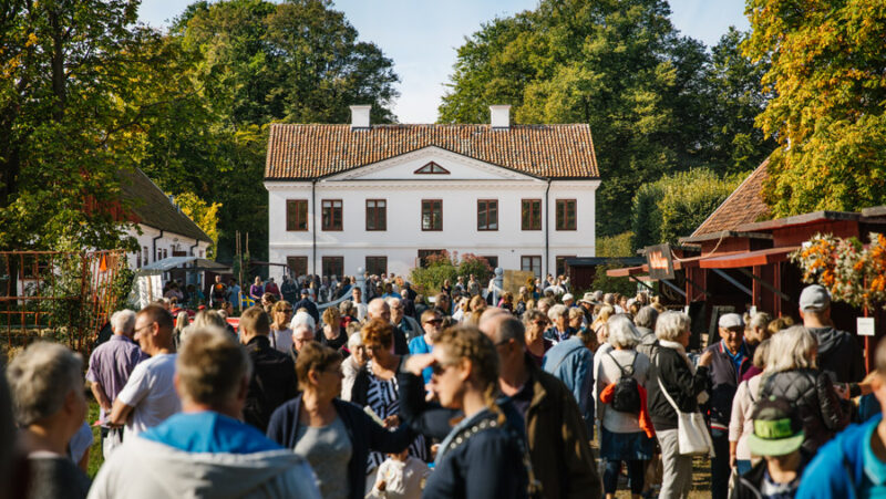 Den skånska marknadens renässans: Din guide till marknadssommaren 2026