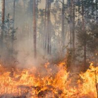 Eldningsförbud i stort sett hela Skåne