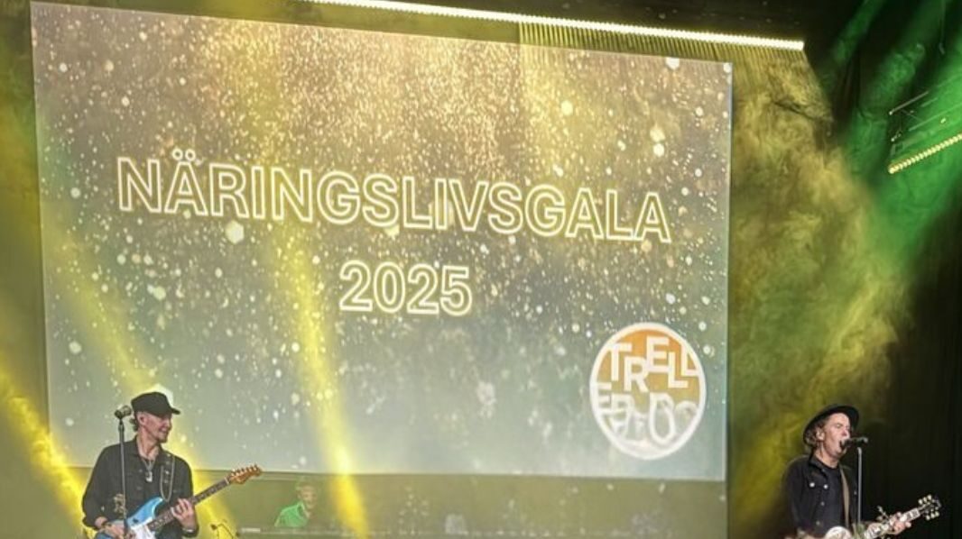 Stjärnglans och hållbarhet när Trelleborgs näringsliv hyllades