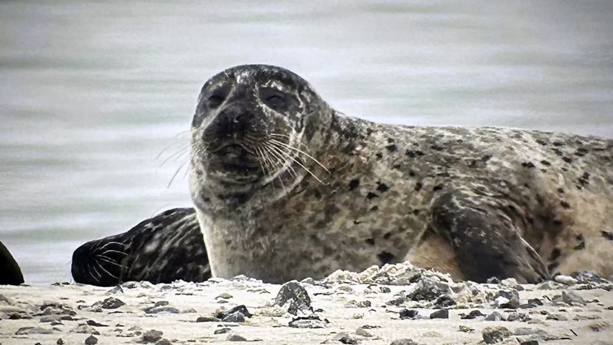 Guidad höstvandring på Måkläppen