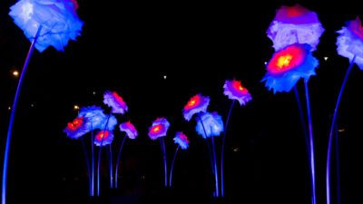 Drömljus 2026 förvandlar Helsingborg till en magisk ljusfest