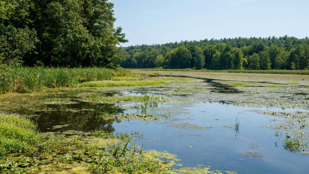 Blandad bild av miljöläget som har planat ut i Skåne
