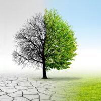 Debatt: Sluta leka riskkapitalist med våra skattepengar