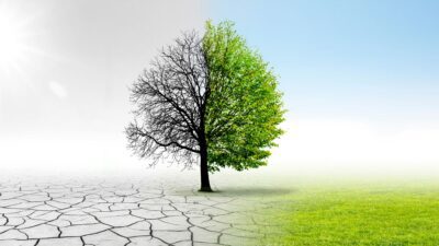 Debatt: Sluta leka riskkapitalist med våra skattepengar