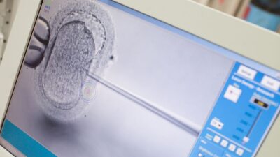 Fler IVF-behandlingar för par utan barn i Region Skåne
