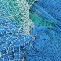 Nya fiskeregler börjar gälla i nordvästra Skåne