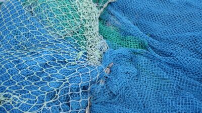 Nya fiskeregler börjar gälla i nordvästra Skåne