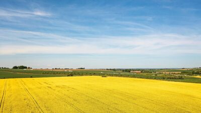 Minskning av exploaterad jordbruksmark, men Skåne är fortfarande hårdast drabbat