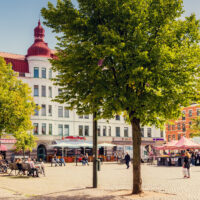 Nya temamarknader intar Möllevångstorget i höst