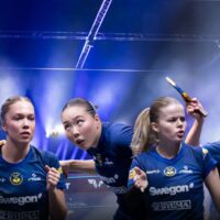 Guldfeber och tonårssensationer när svensk pingis intar Europa