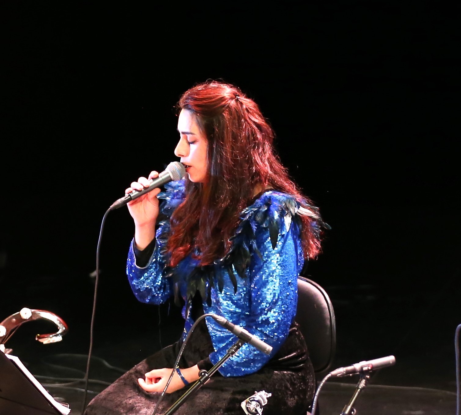 Konsert: Schubertbad och Chopinvandring – Ensemble Makadam & Avin Omar