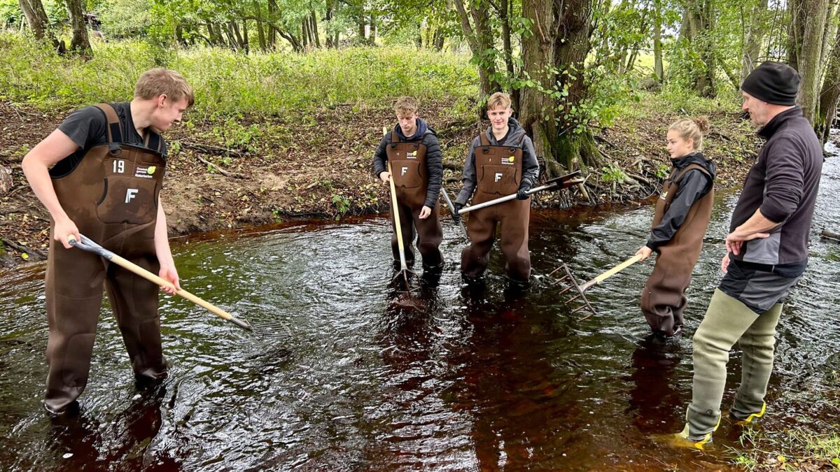 Elever från Önnestadsgymnasiet placerar stockar i Mjöån för att återställa vattenmiljön och öka den biologiska mångfalden