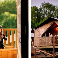 Rekordår för övernattningar i Skånes Djurpark 2026