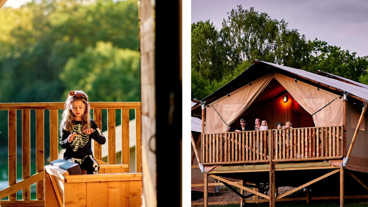 Tältlodge med utsikt över trädtopparna och djurhägnen på Skånes Djurpark utanför Höör