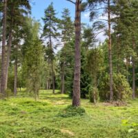Grytåsa blir Skånes 400:e naturreservat och Örkelljungas första